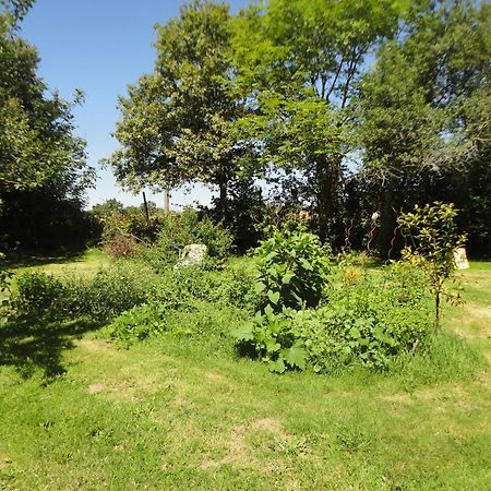 Tranquille Vienne Gites A Chirac Dept Charente Exteriör bild