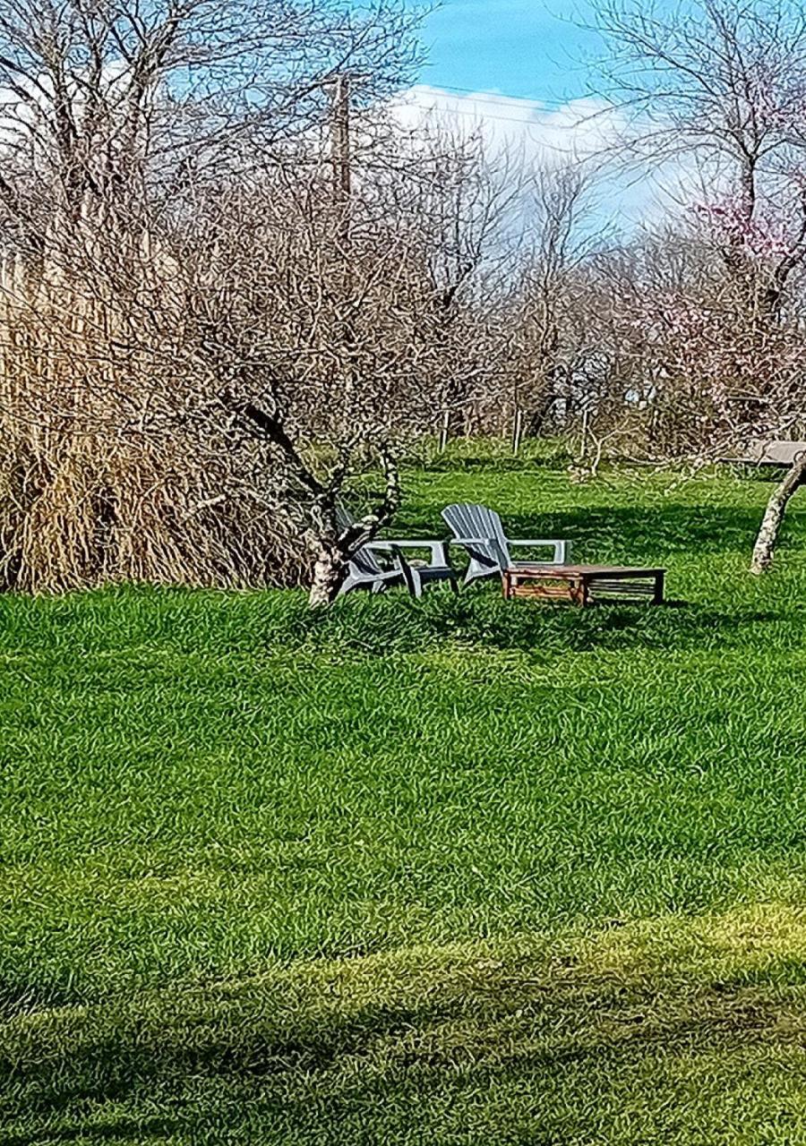 Tranquille Vienne Gites A Chirac Dept Charente Exteriör bild