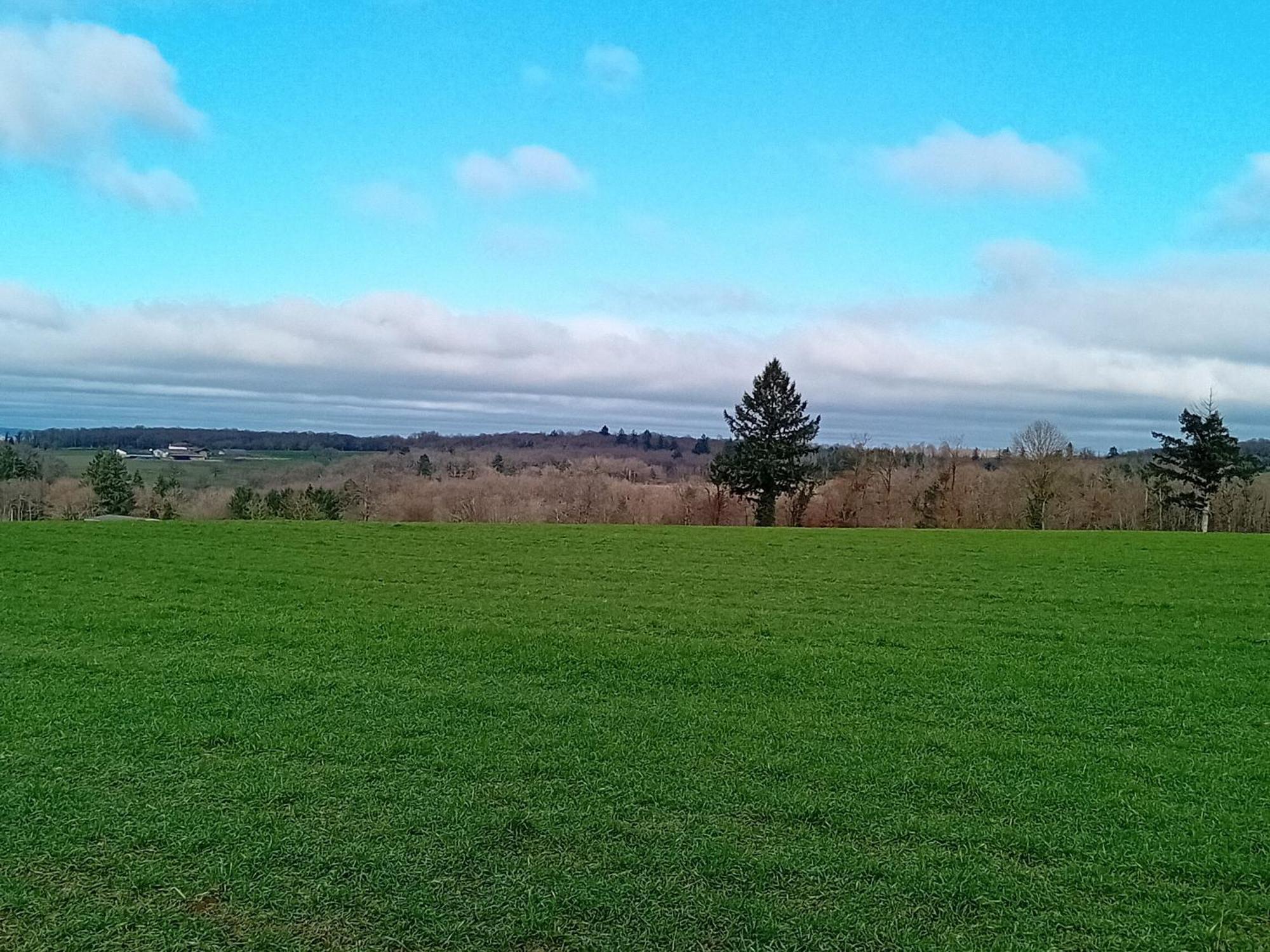 Tranquille Vienne Gites A Chirac Dept Charente Exteriör bild