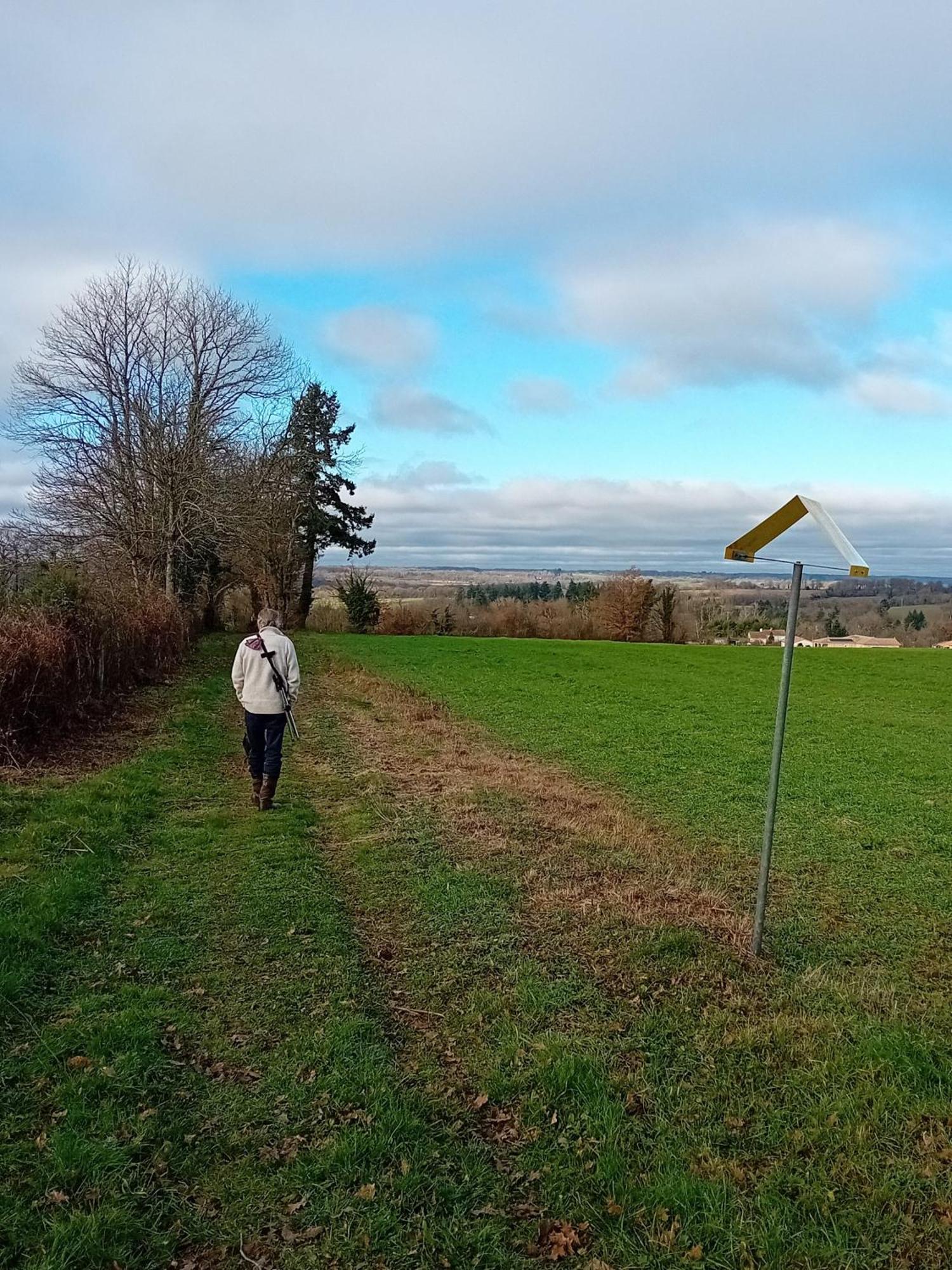Tranquille Vienne Gites A Chirac Dept Charente Exteriör bild