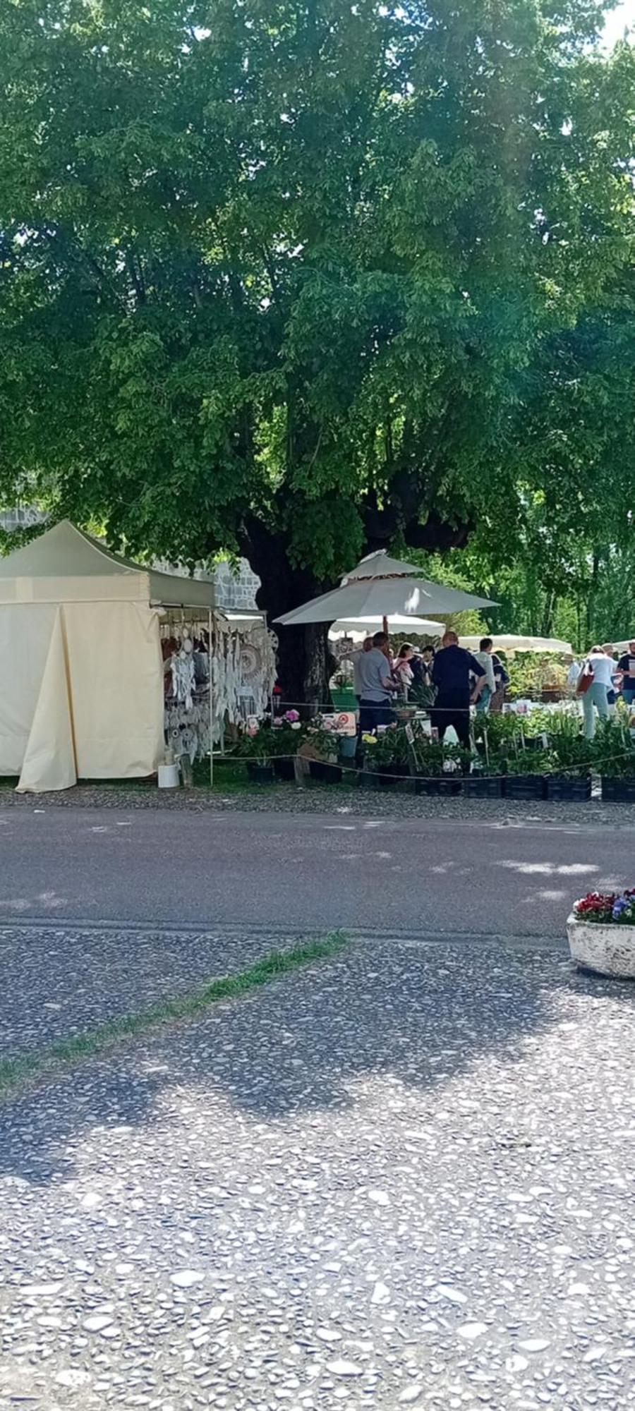 Tranquille Vienne Gites A Chirac Dept Charente Exteriör bild